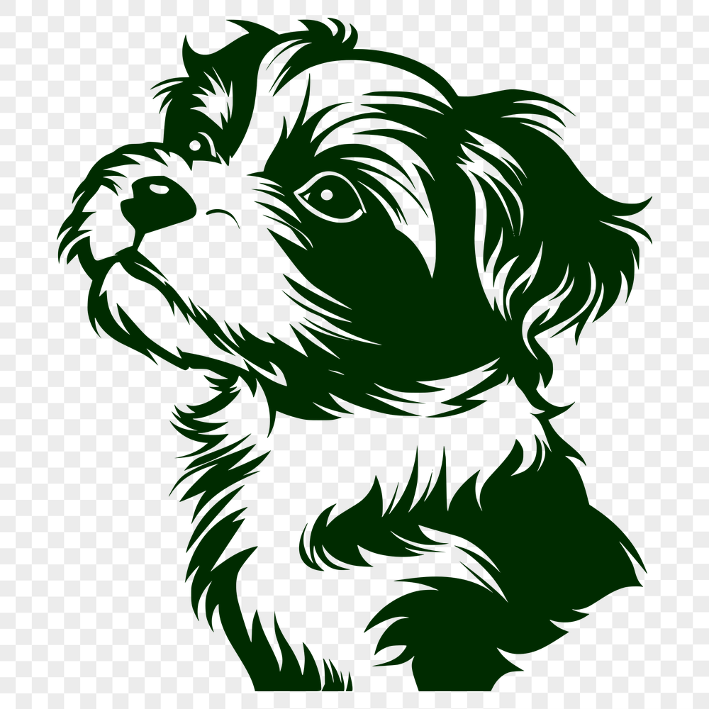 Free Creative Havanese Artwork