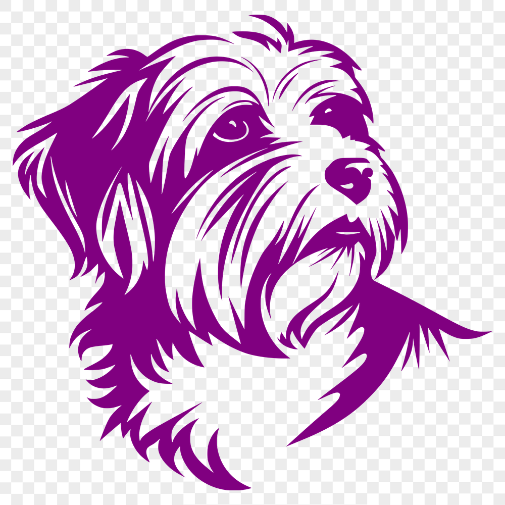 Free Stunning Havanese Vector Illustration