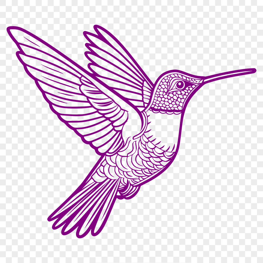 Creative Hummingbird - Laser DXF