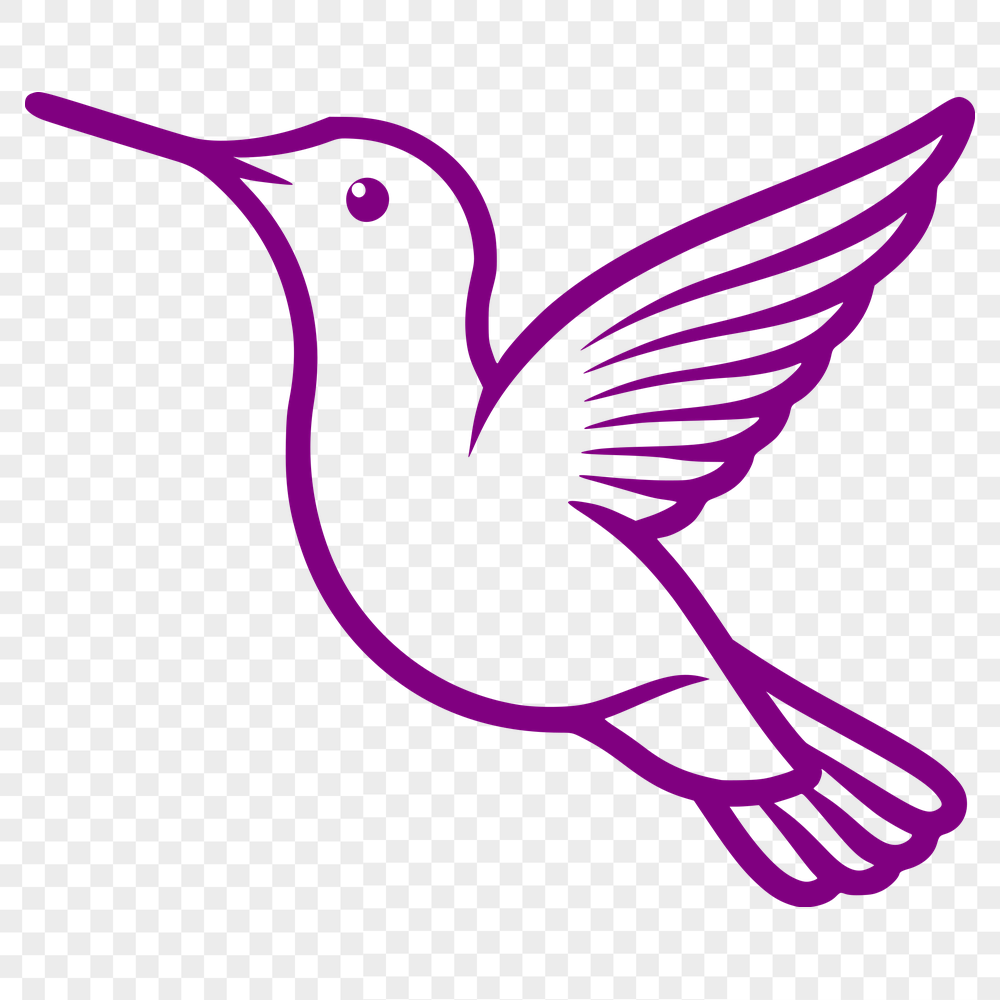 Beautiful Hummingbird - Vinyl PNG