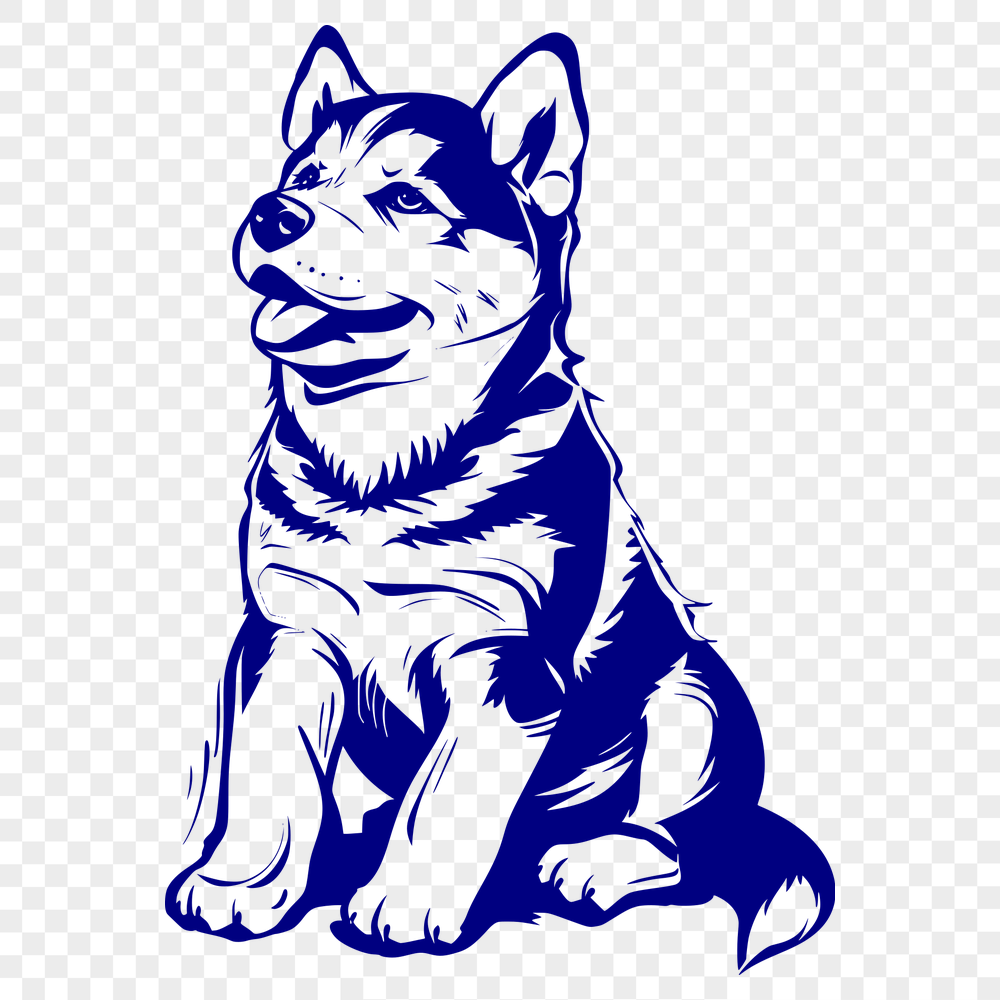 Beautiful Sitting Husky Digital Drawing