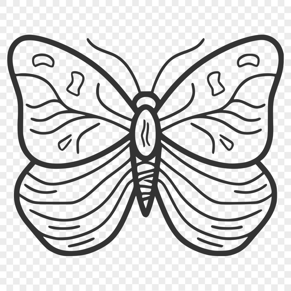 Unique Butterfly PNG