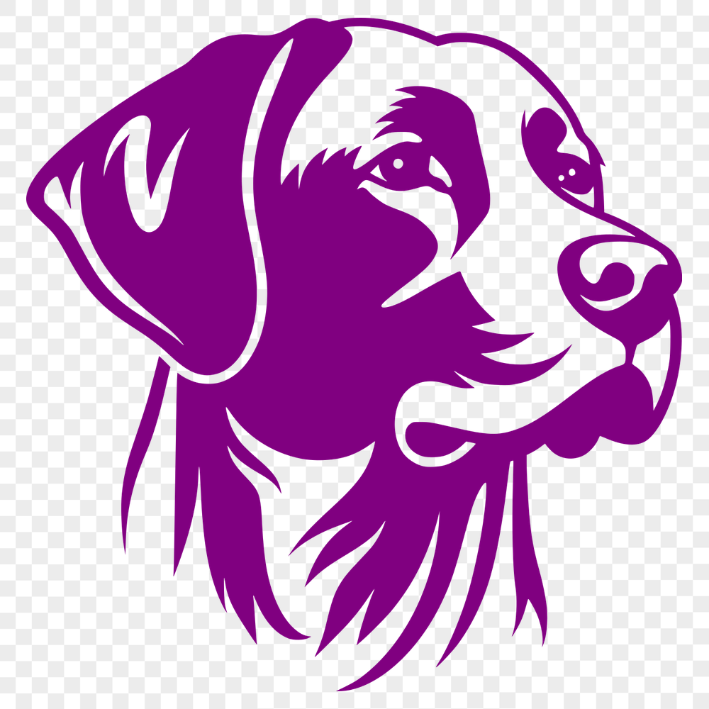 Free Beautiful Labrador Retriever Drawing