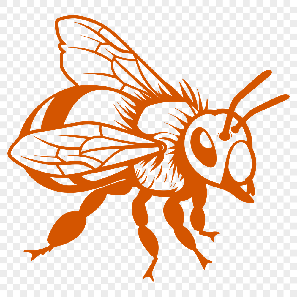 Beautiful Flying Bee PNG