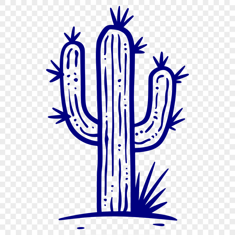 Creative Cactus PNG