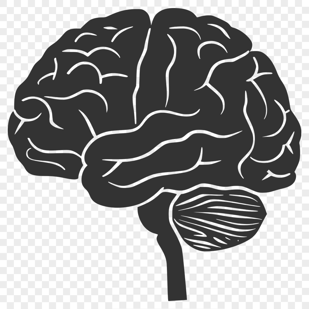 Unique Brain Vector Craft File