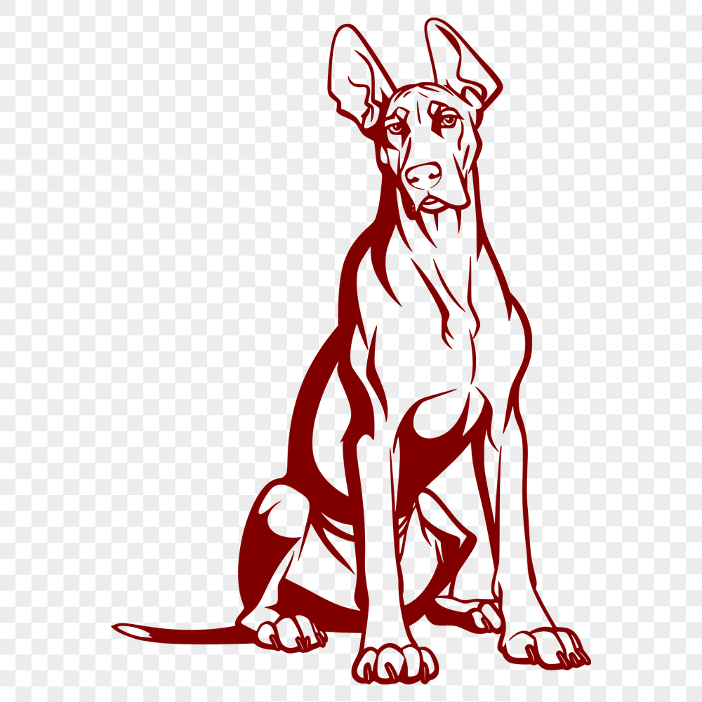 Creative Sitting Doberman Pinscher Vector Image