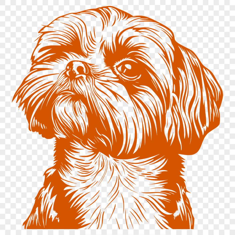 Stunning Shih Tzu Clipart