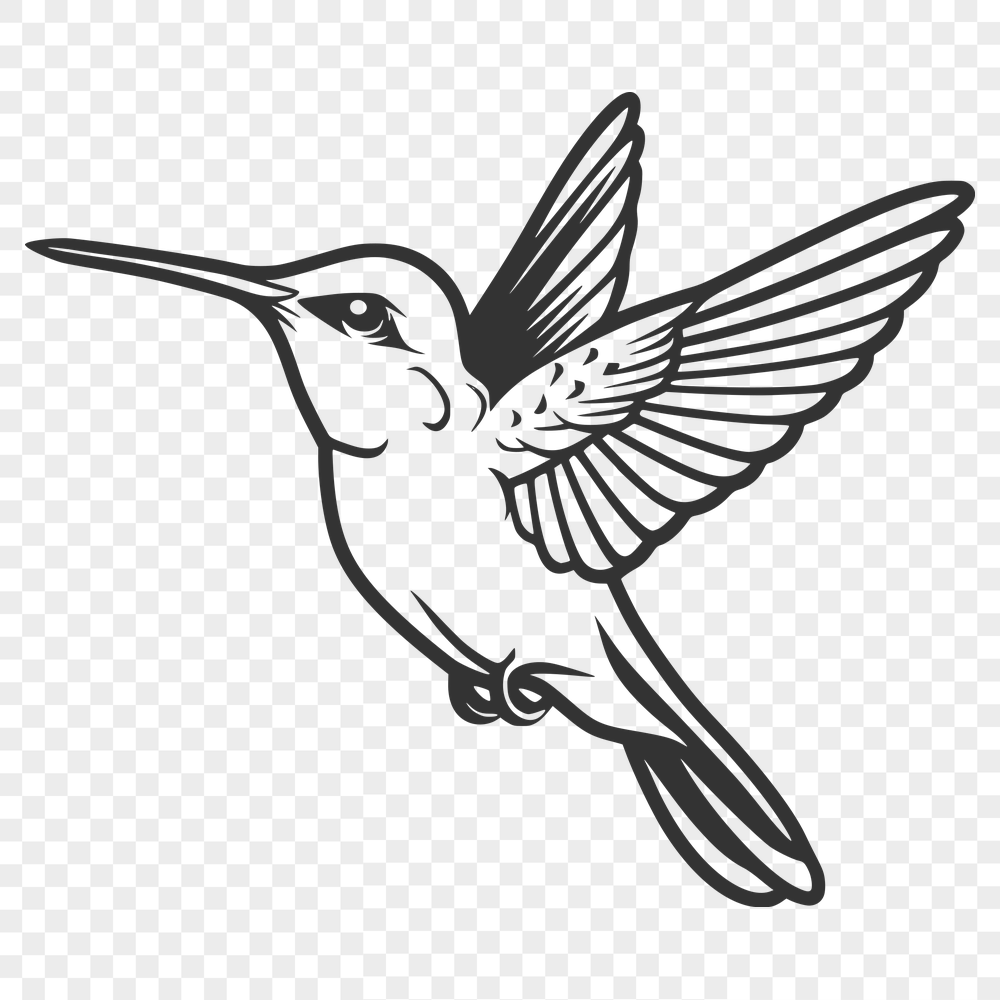 Unique Hummingbird - Glowforge PNG