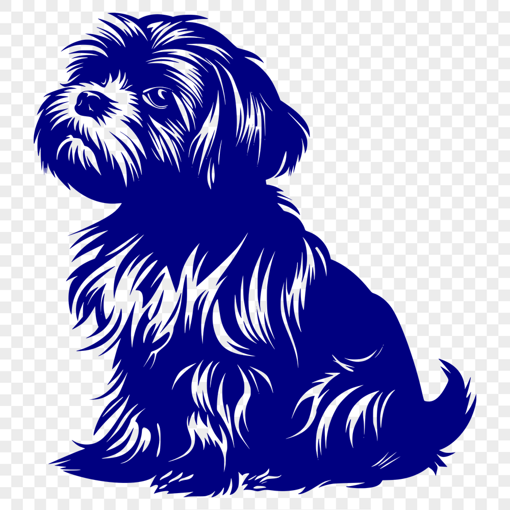 Sitting Shih Tzu Image