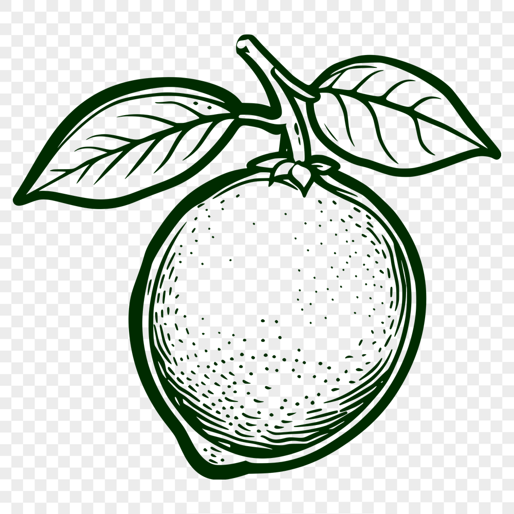 Beautiful Lemon PNG