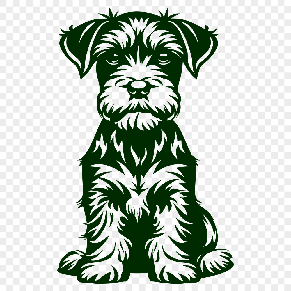 Beautiful Sitting Miniature Schnauzer PDF