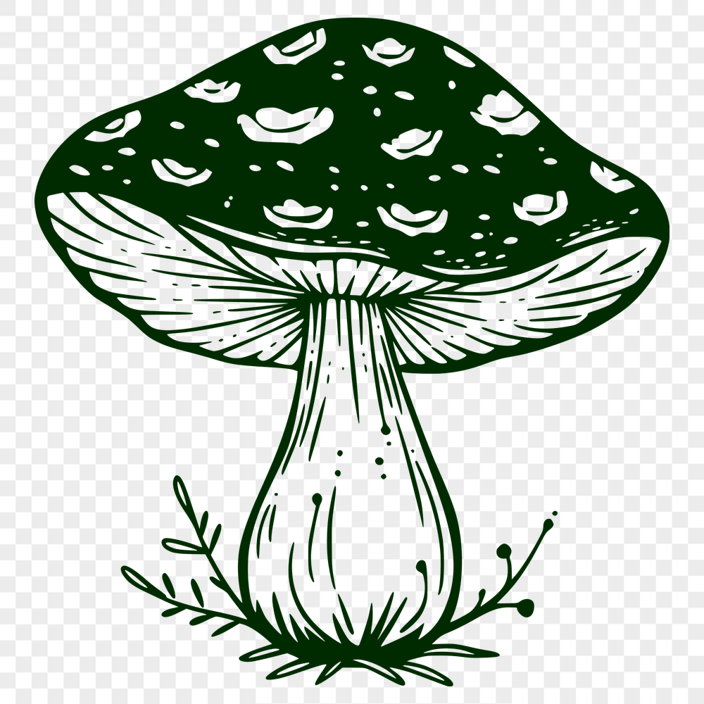 Unique Mushroom PDF