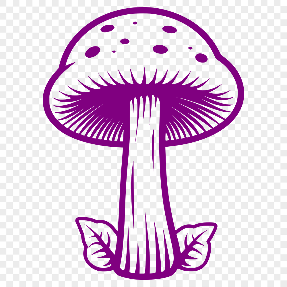 Creative Mushroom Digital Drawing