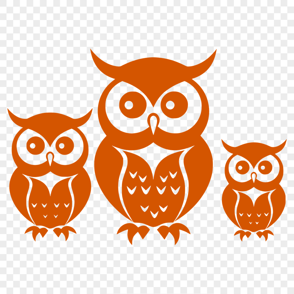 Unique Owl Vector Illustration