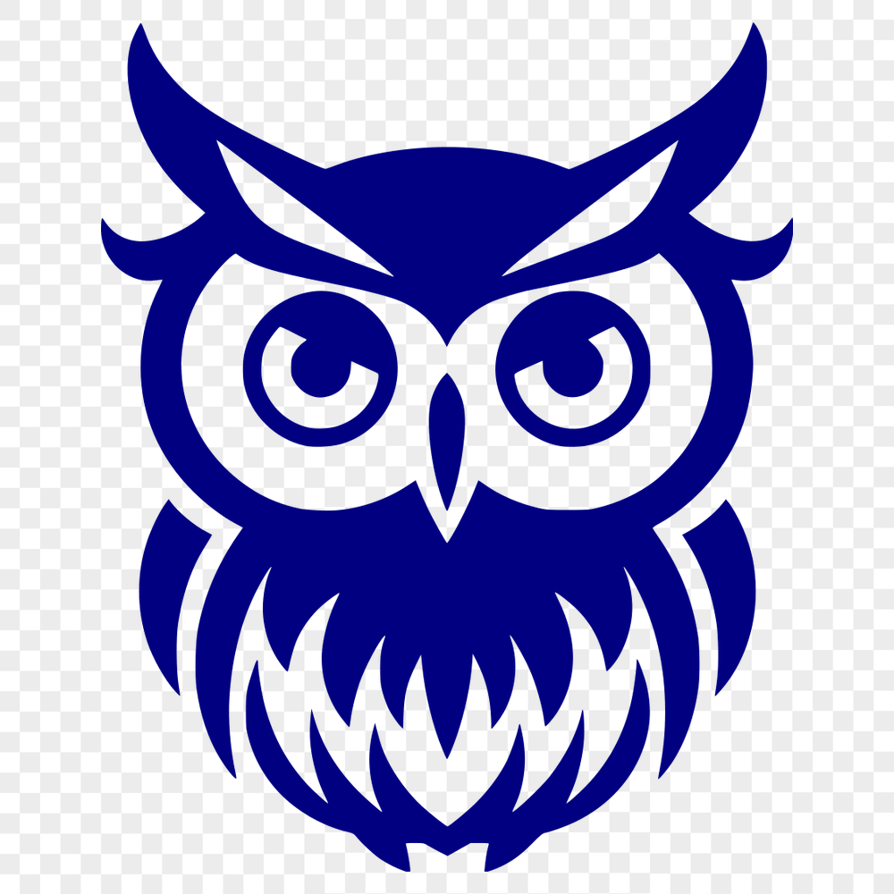 Free Beautiful Owl Template