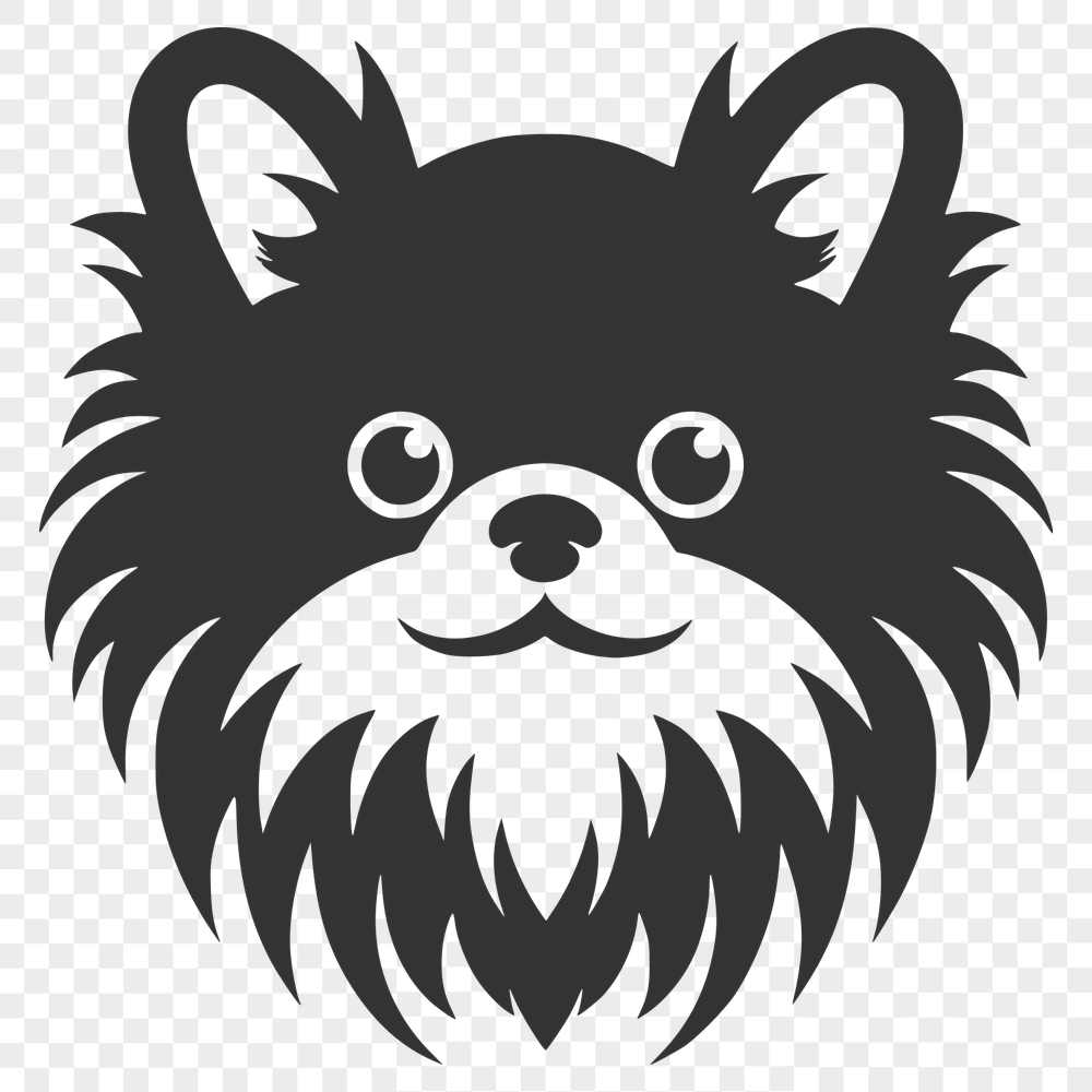 Stunning Pomeranian - For Vinyl Project