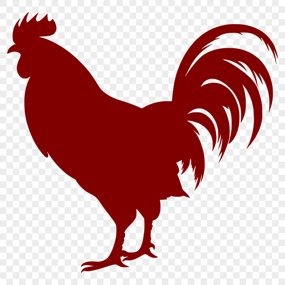 Free Artistic Cockerel Drawing