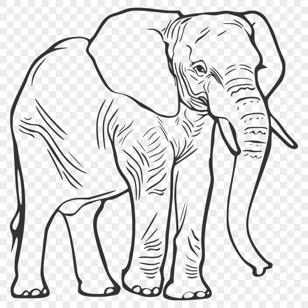 Free Creative Elephant Stencil