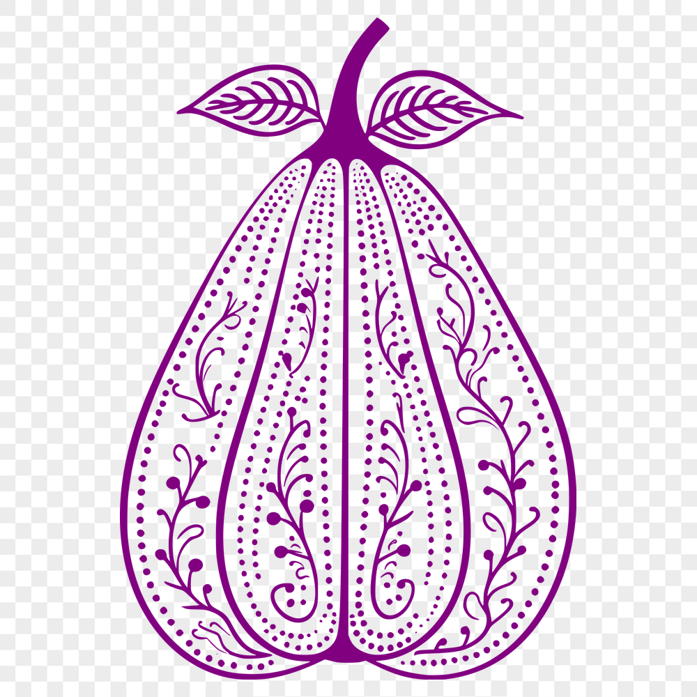 Unique Squash Illustration