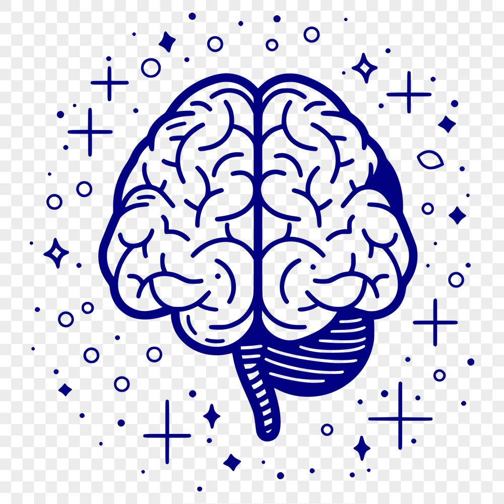 Free Brain Illustration