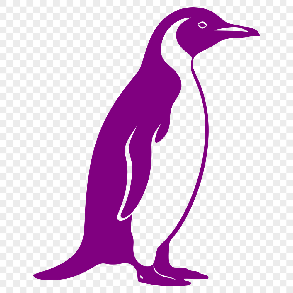 Creative Penguin PNG