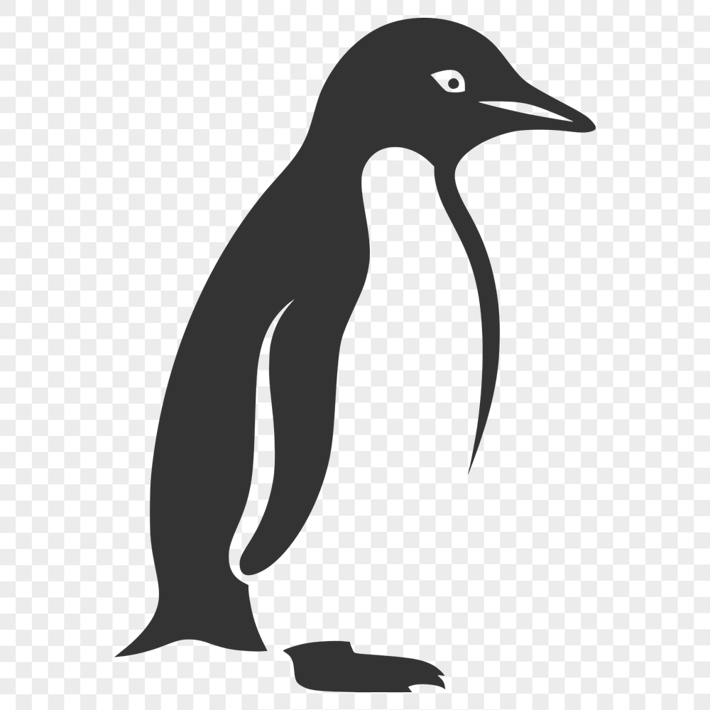 Free Creative Penguin Vector Image