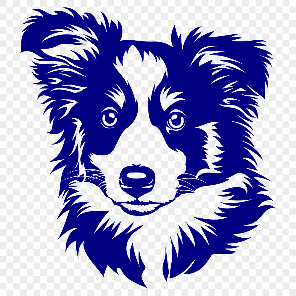 Free Shetland Sheepdog Vector Art