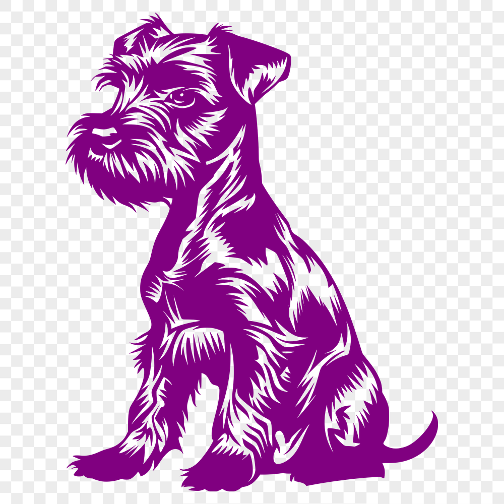 Free Free Miniature Schnauzer Drawing