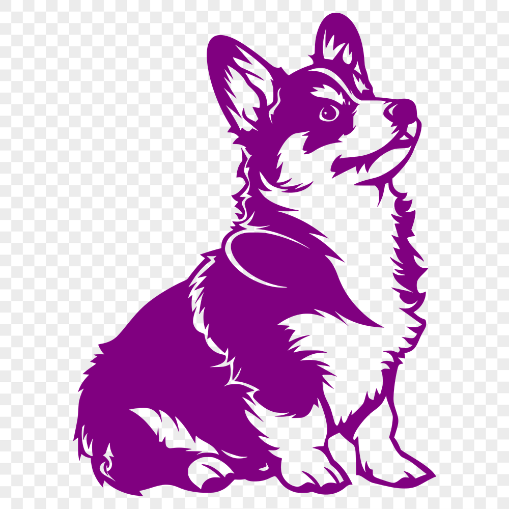 Beautiful Welsh Corgi Drawing