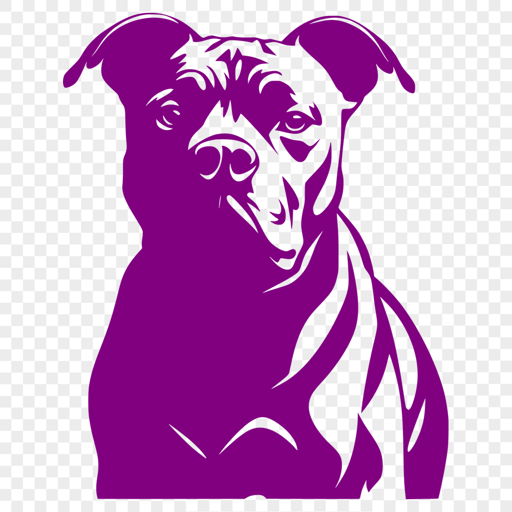 Free Beautiful Pitbull Illustration