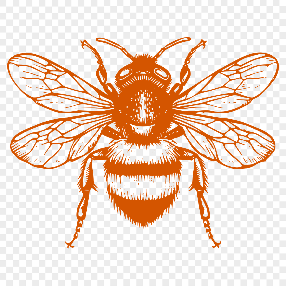 Creative Bee Clip Art