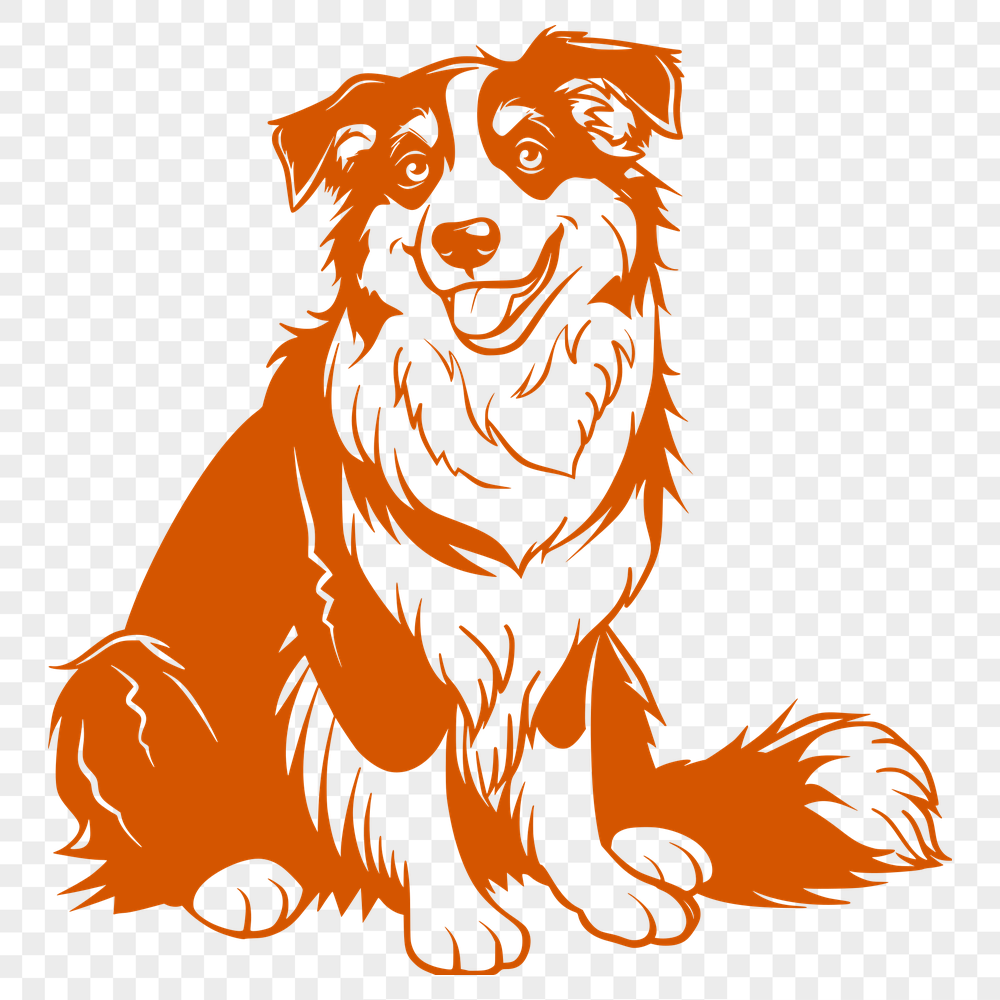 Free Sitting Australian Shepherd Drawing