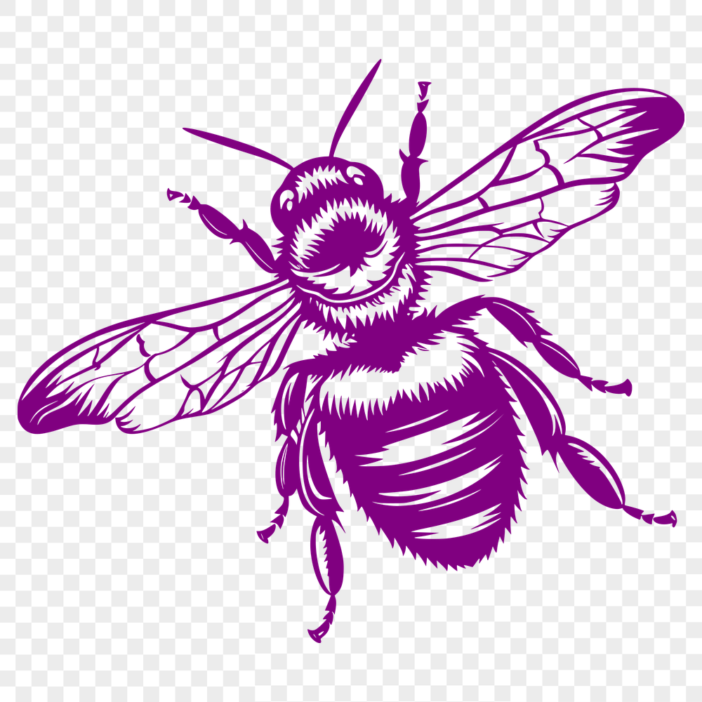 Free Beautiful Bee Illustration