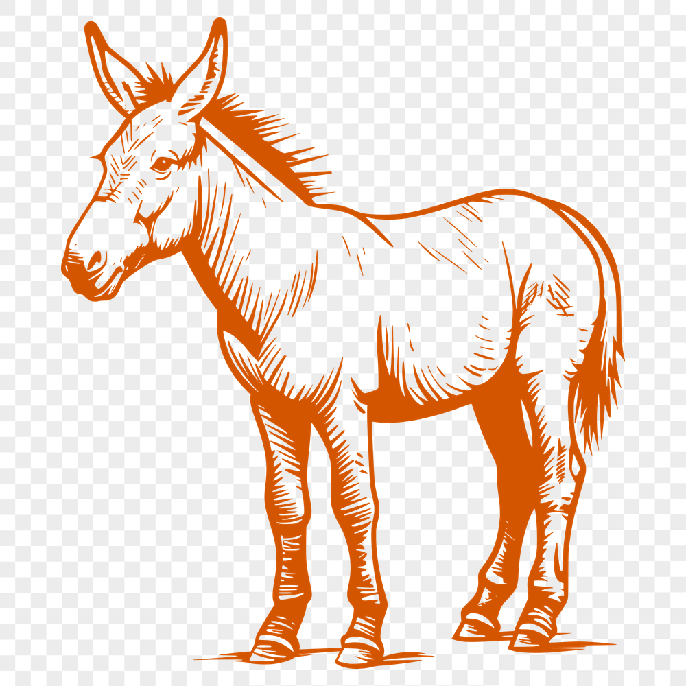 Free Free Donkey Vector Image