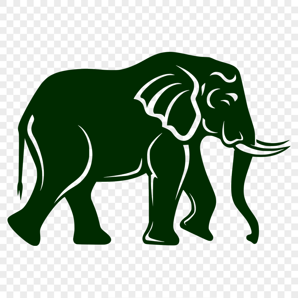 Free Stunning Elephant Artwork