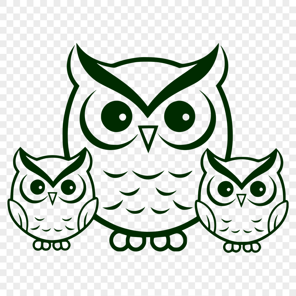 Free Unique Owl Digital Artwork