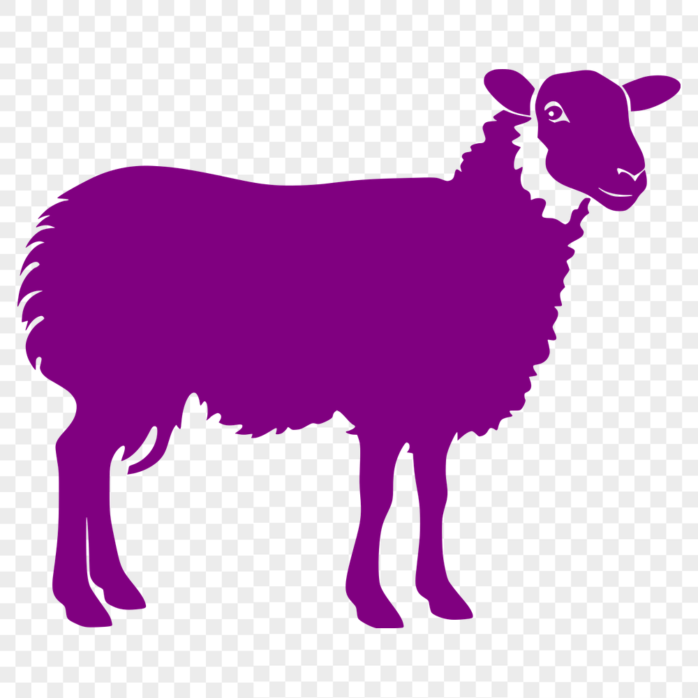 Free Free Sheep Illustration