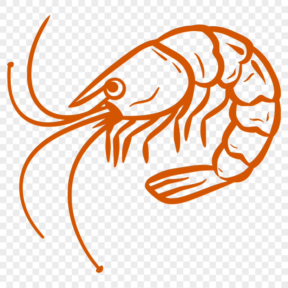 Unique Prawn Vector Image