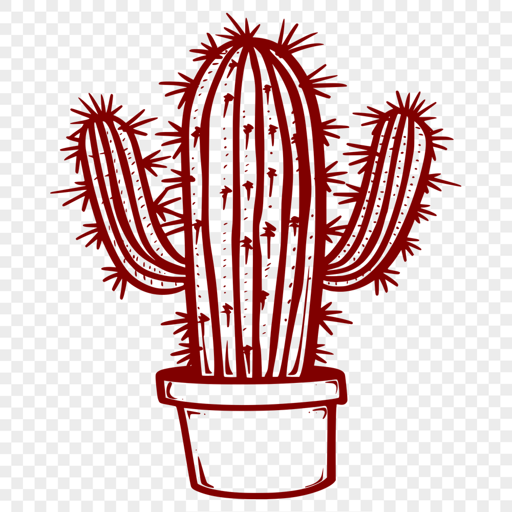 Beautiful Cactus Illustration