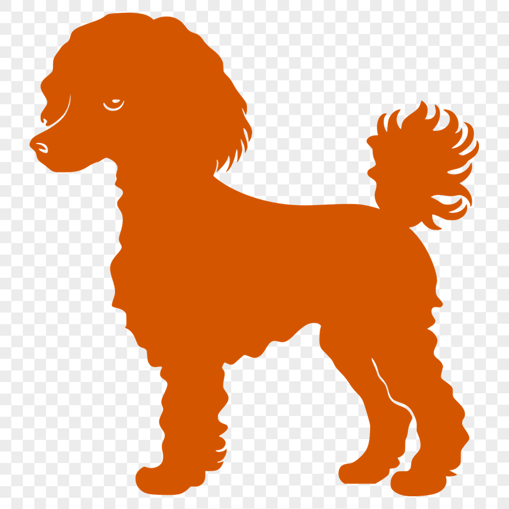 Creative Poodle Vector Illustration