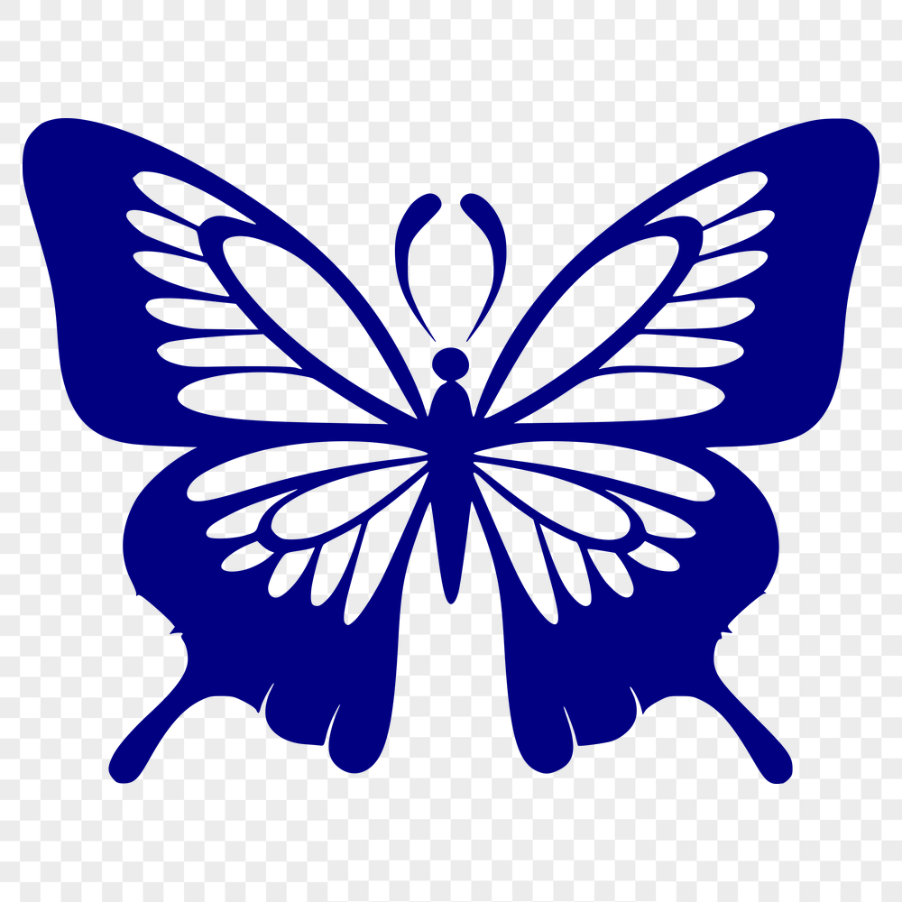 Beautiful Butterfly Vector Illustration