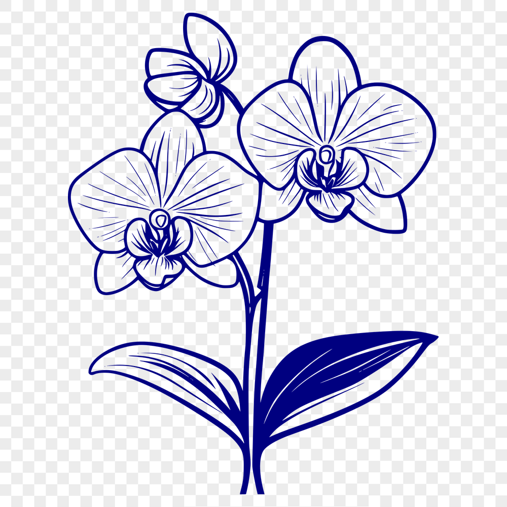 Artistic Flower In DXF For Free Download