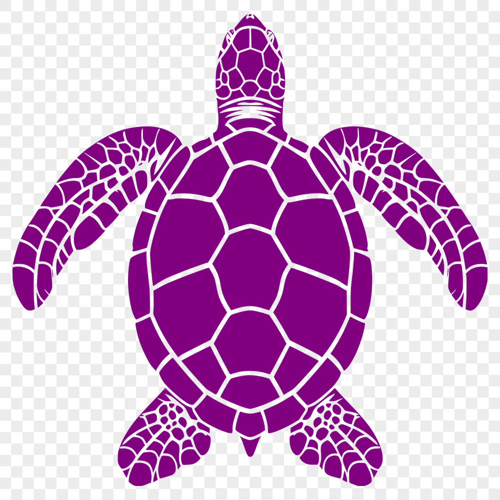 Free Unique Sea Turtle Vector Craft File