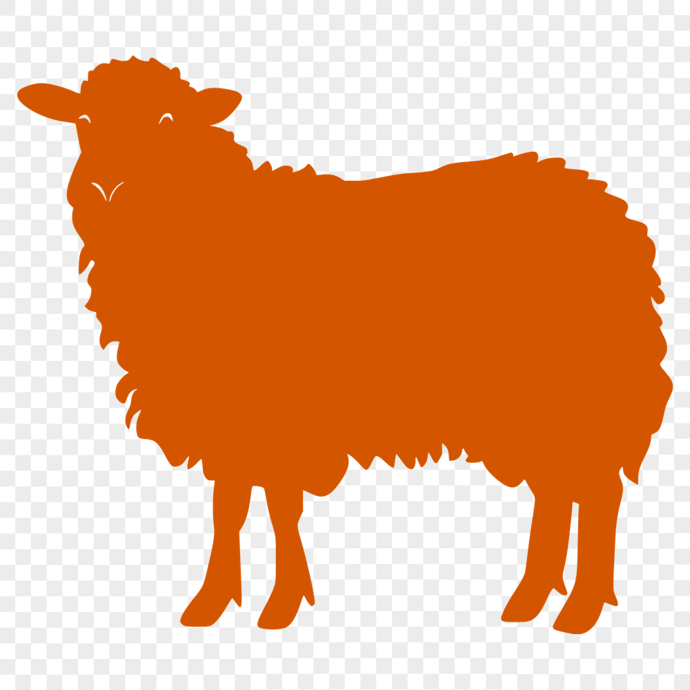 Stunning Sheep Clipart