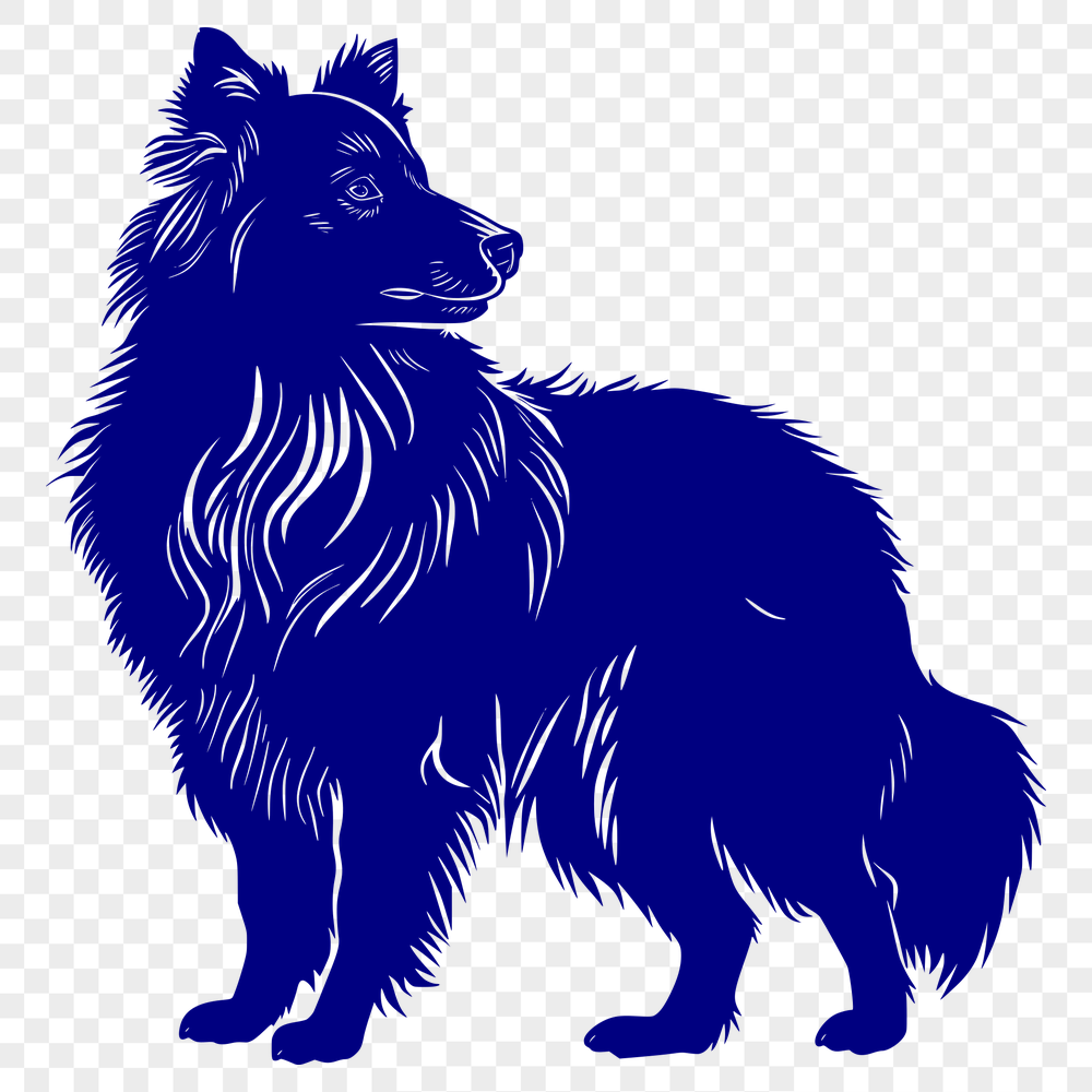 Creative Shetland Sheepdog Digital Art