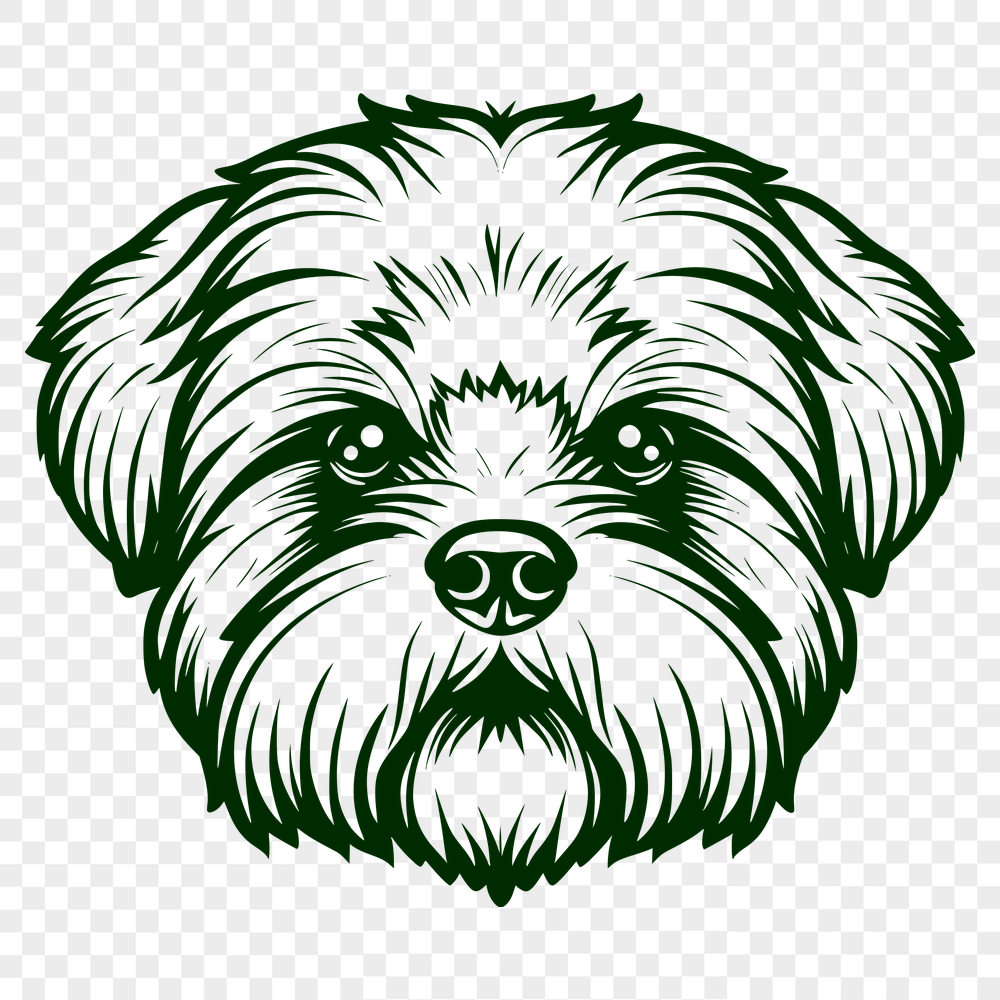 Beautiful Shih Tzu - For Vinyl Project