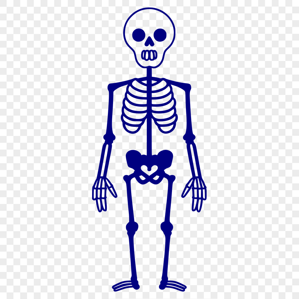 Unique Standing Skeleton Clipart - DXF