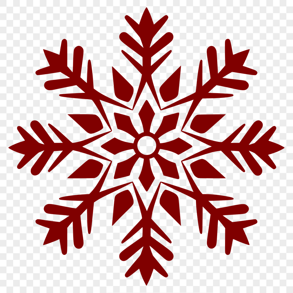 Beautiful Snowflake - Winter PNG