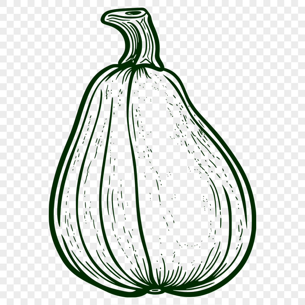 Free Free Squash Vector Craft File